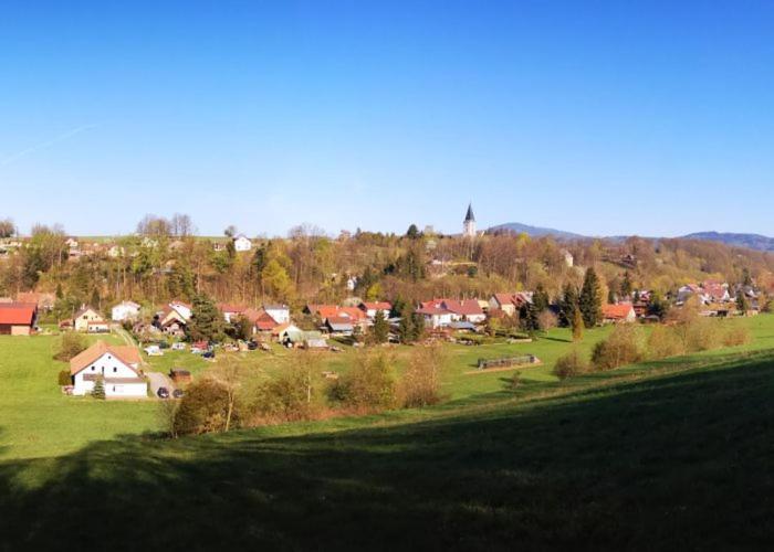 Unsere Ferienwohnung Stefan Im Riesengebirge! Dolni Lanov 외부 사진